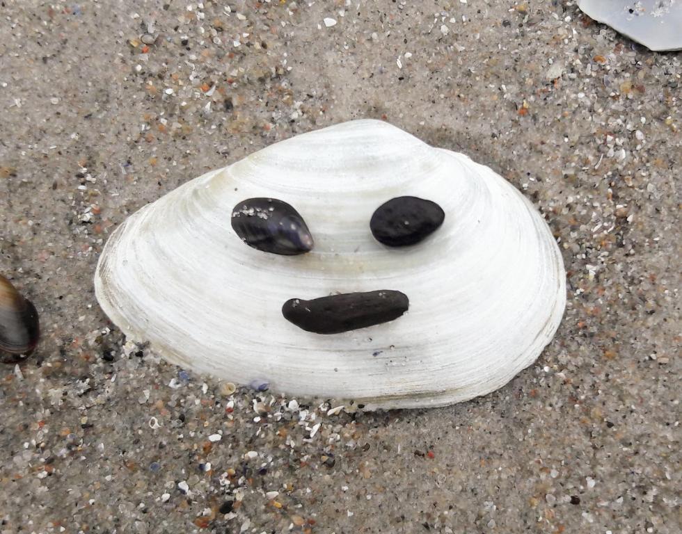 een witte schelp met een smiley op het zand bij FeWo Meerblick Prora in Binz