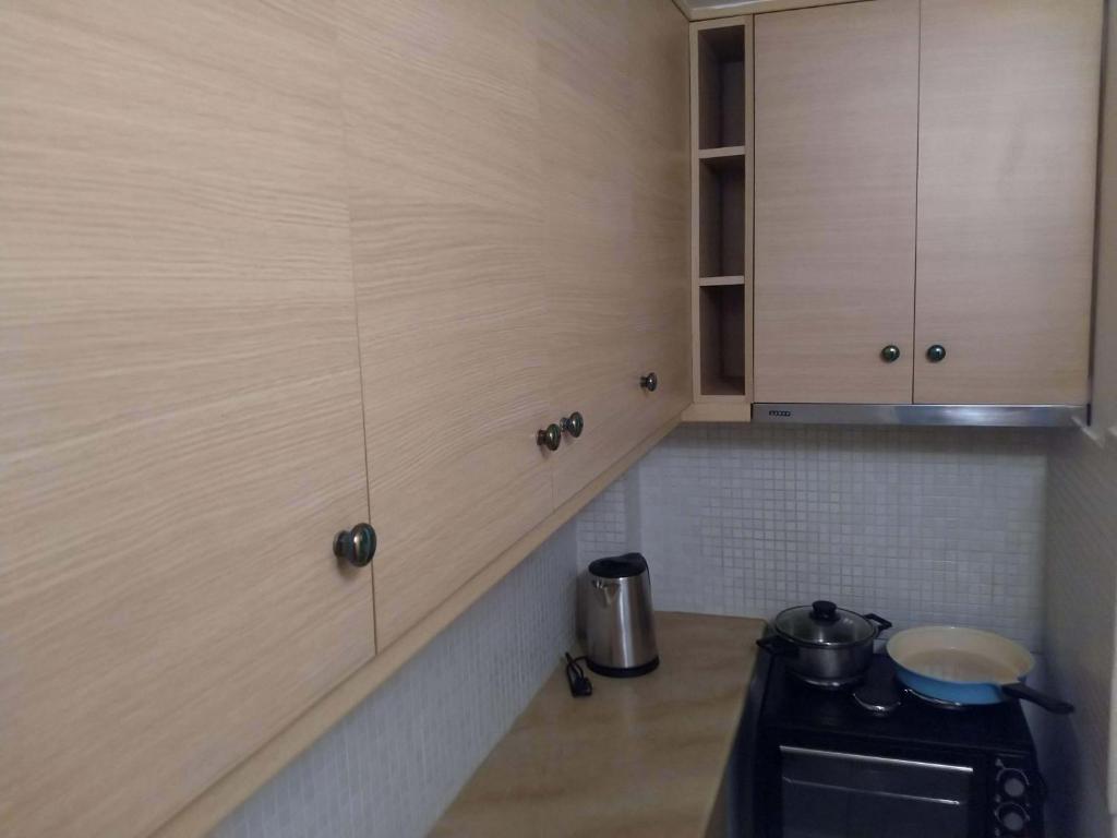 Kuchyňa alebo kuchynka v ubytovaní Art apartment Syngrou
