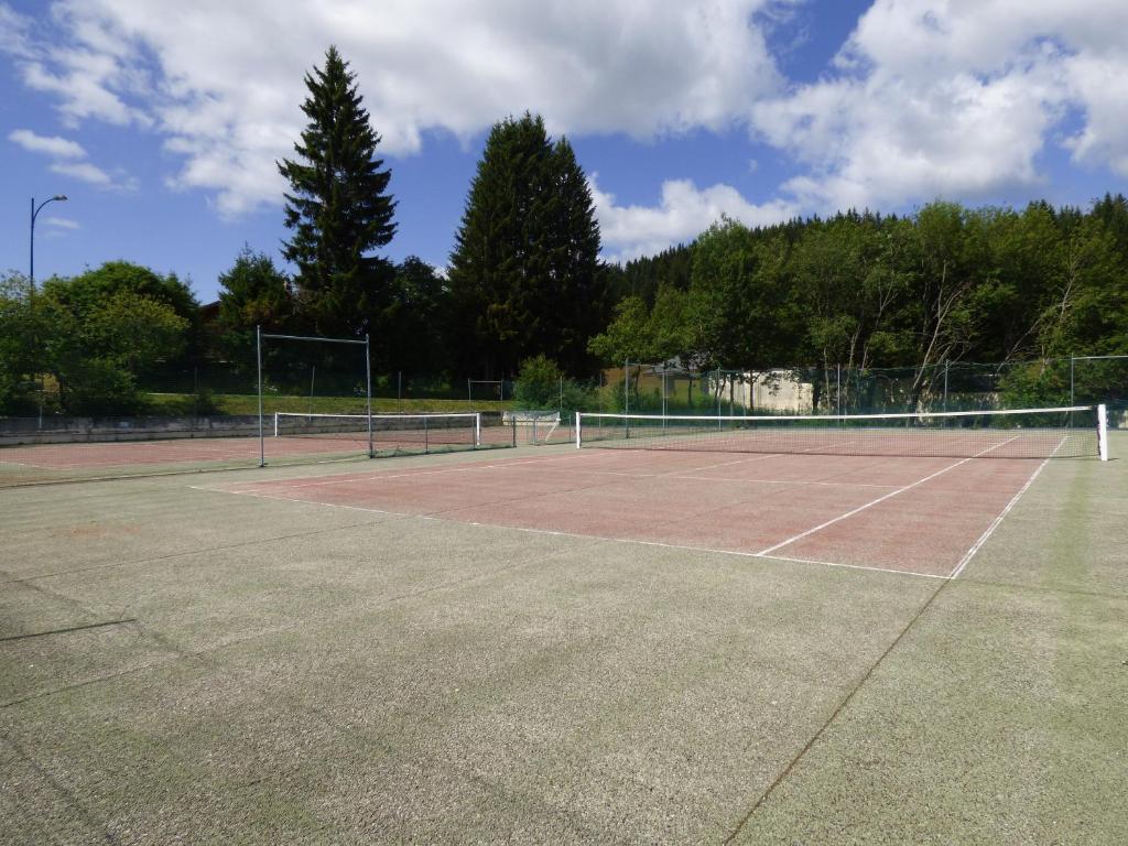 a tennis court with two tennis rackets on it at Le Génépi in Taninges