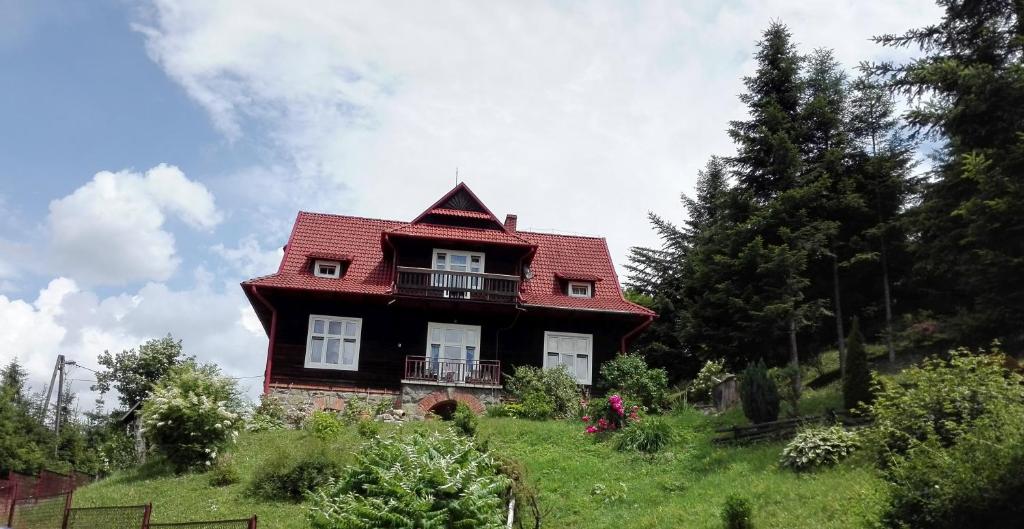 ピブニチュナ・ズドルイにあるWilla Marylkaの丘の上の赤い屋根の家