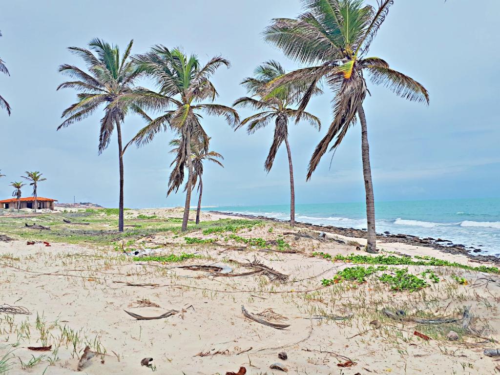  Porto Canoa Flats