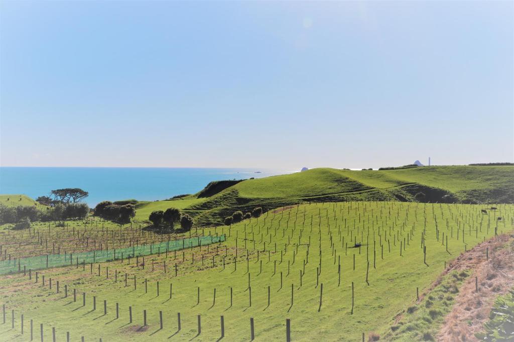 Chalets at Okurukuru - Resim 18