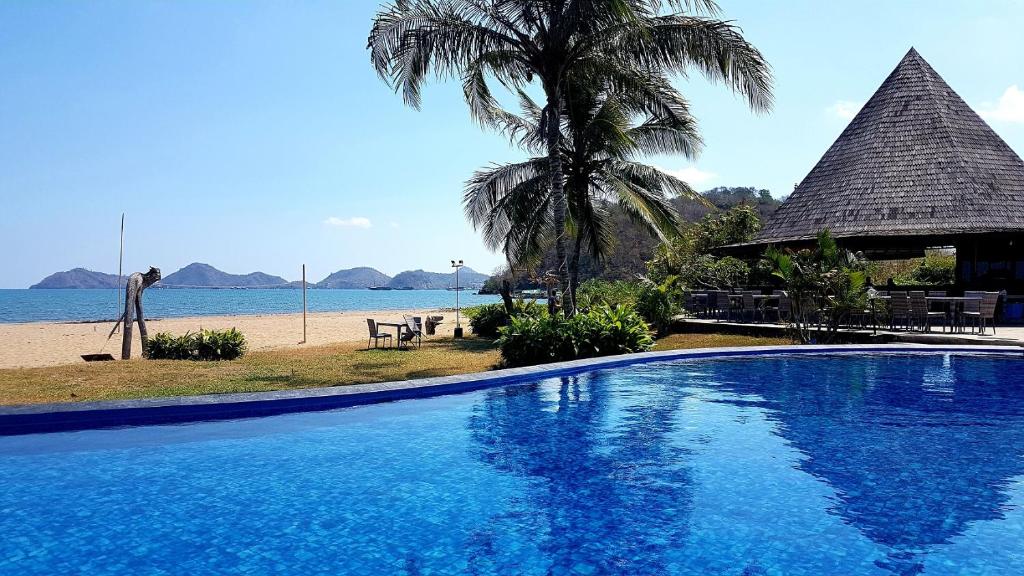 a swimming pool next to a beach with a palm tree at Luwansa Beach Hotel in Labuan Bajo