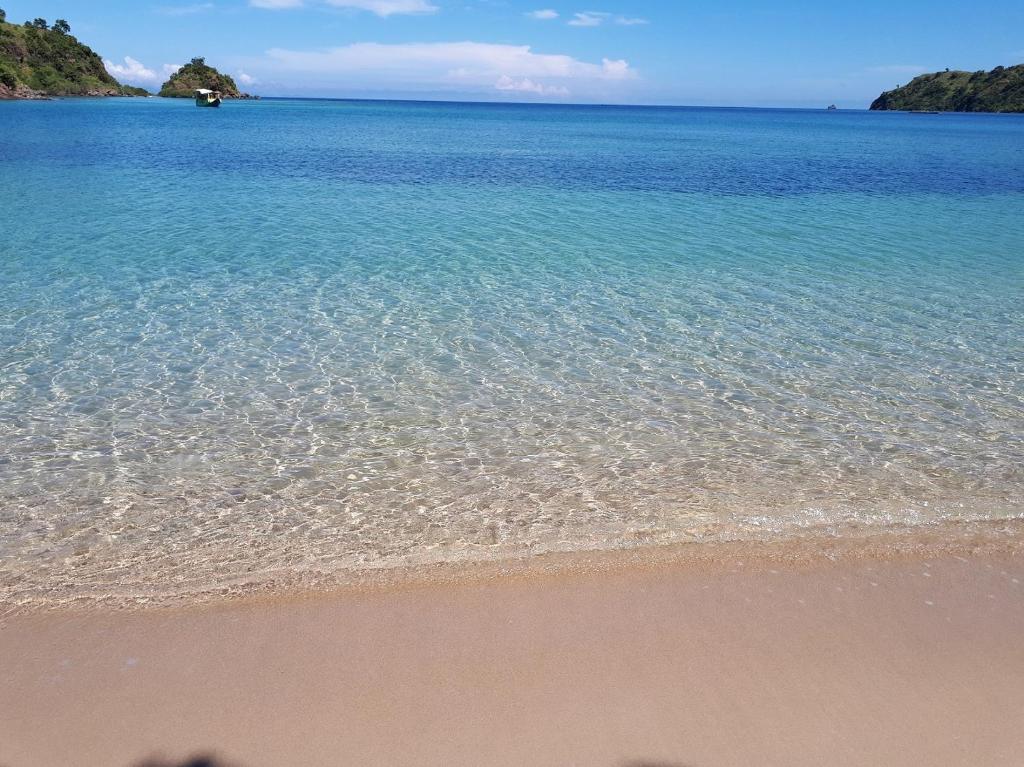 a beach with clear water and trees in the background at Sylvia Beach Villa in Labuan Bajo