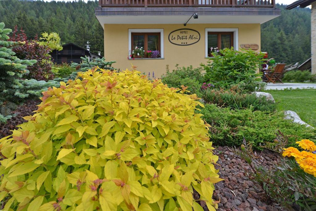 Zahrada ubytování Hotel Le Petit Abri