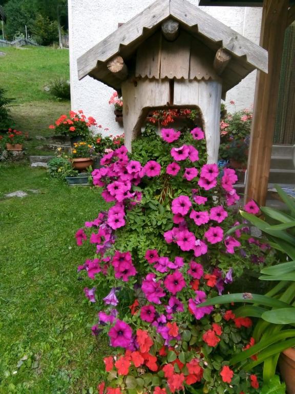 Zahrada ubytování B&B PRA' DEI CERVI