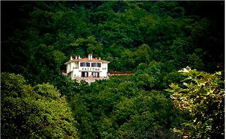 a house in the middle of a forest of trees at ΡΑΣΤΩΝΗ Πήλιο in Vizitsa