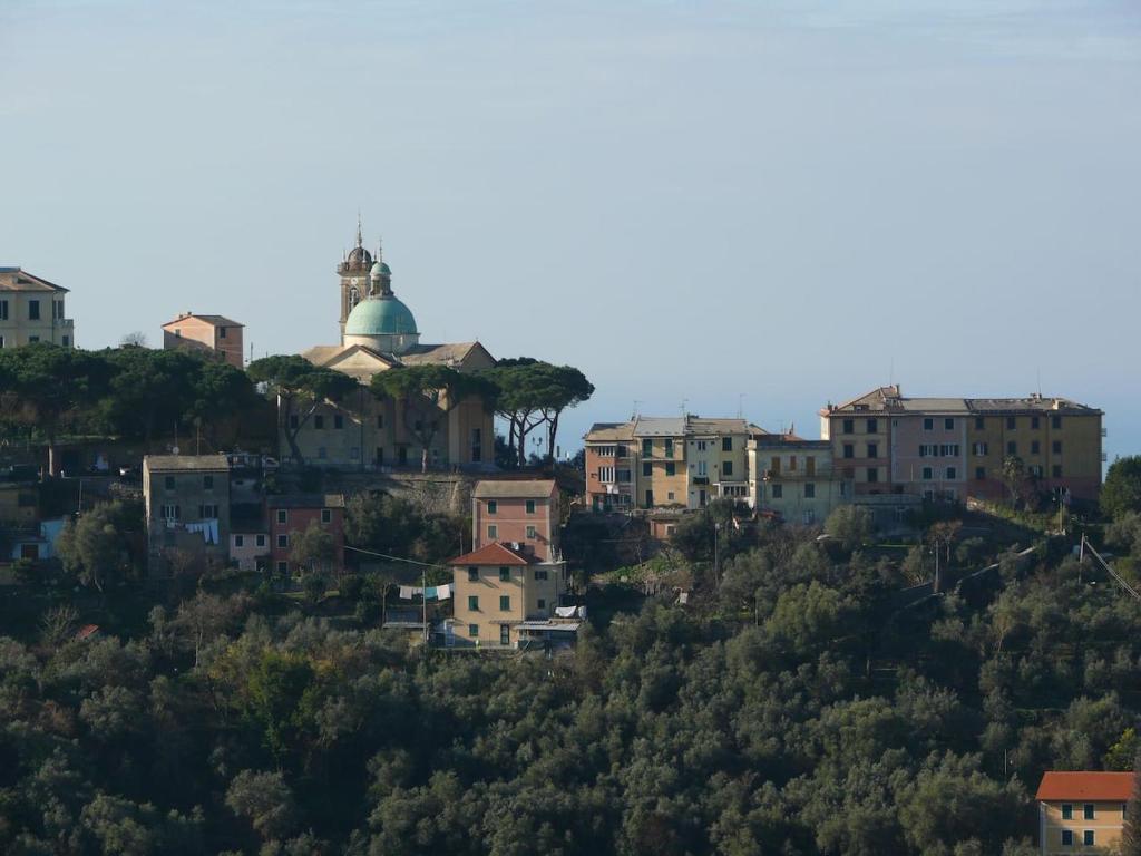 a group of houses on a hill with a mosque at Ca' di Ro in Camogli