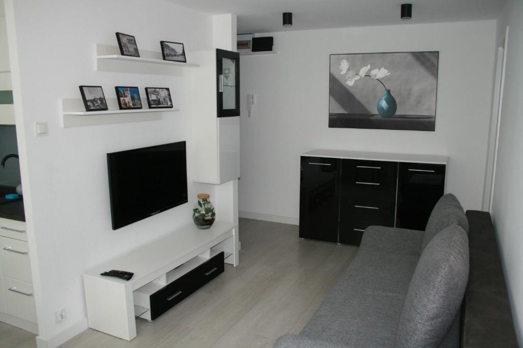 Μια τηλεόραση ή/και κέντρο ψυχαγωγίας στο Apartament Miedzianka