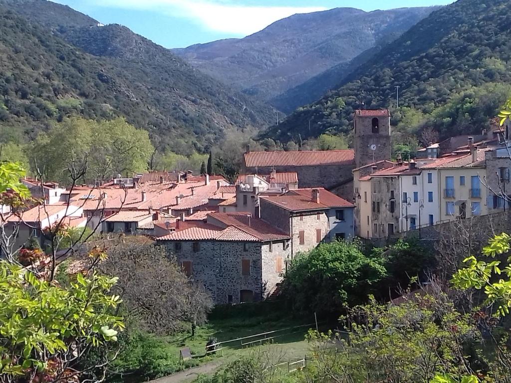 a village in a valley with mountains in the background at Loft vue montagne in Rigarda