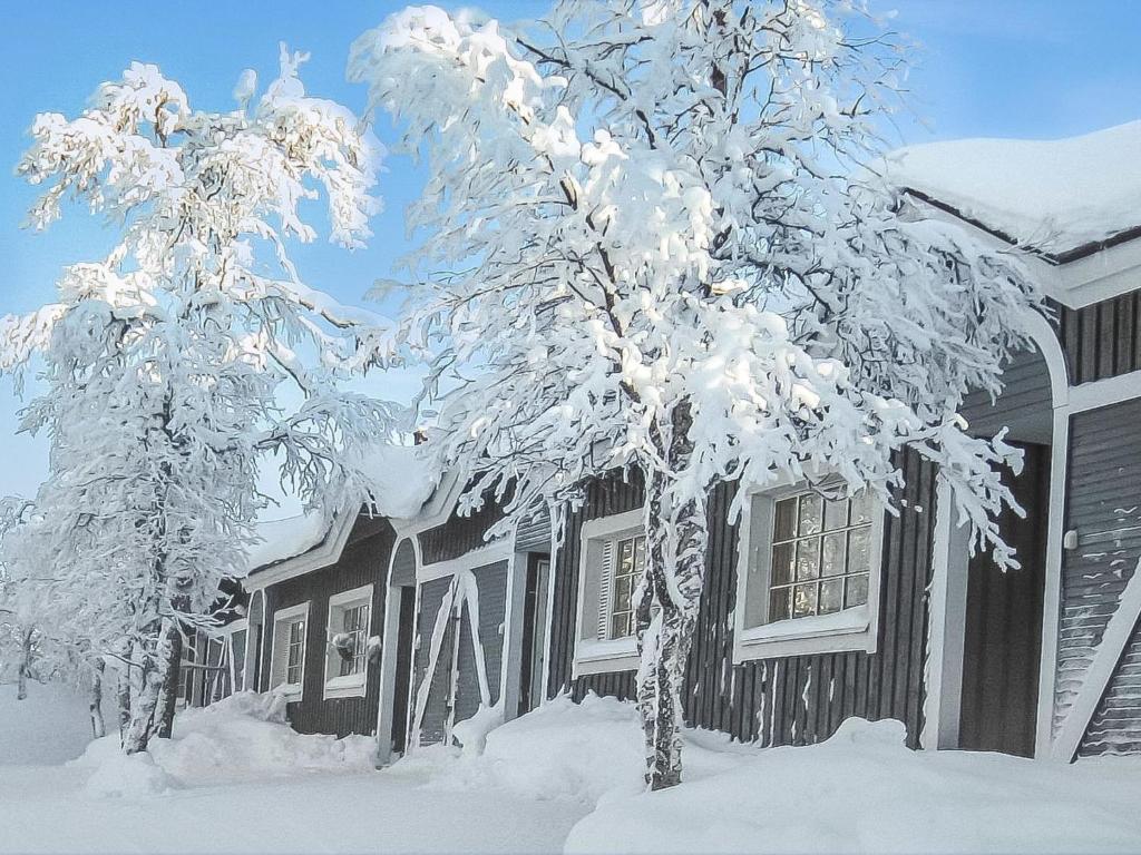 サーリセルカにあるHoliday Home Tunturikuksa by Interhomeの雪に覆われた木