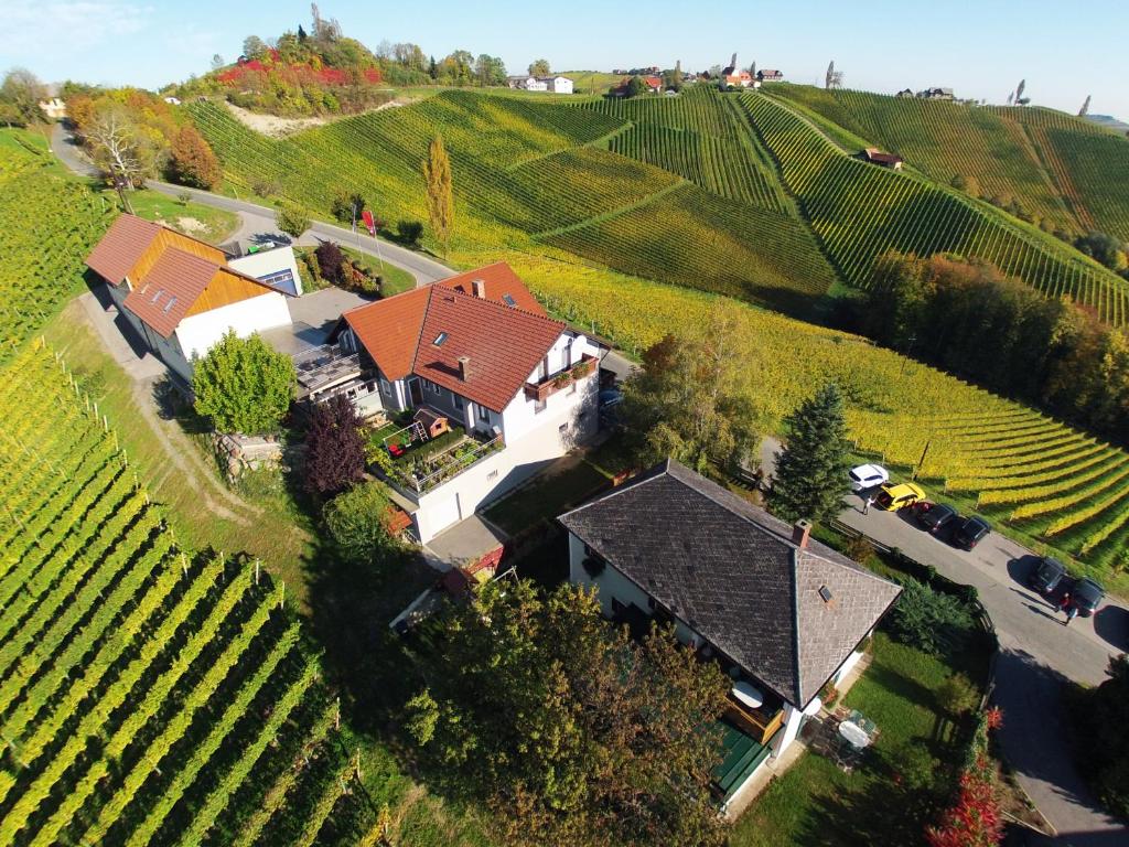 an aerial view of a house in a vineyard at Familienweingut Oberer Germuth in Leutschach