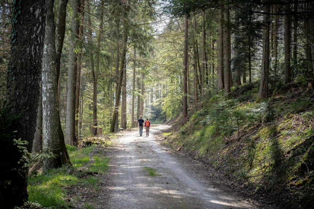 Hotel Rössle Berneck - 15