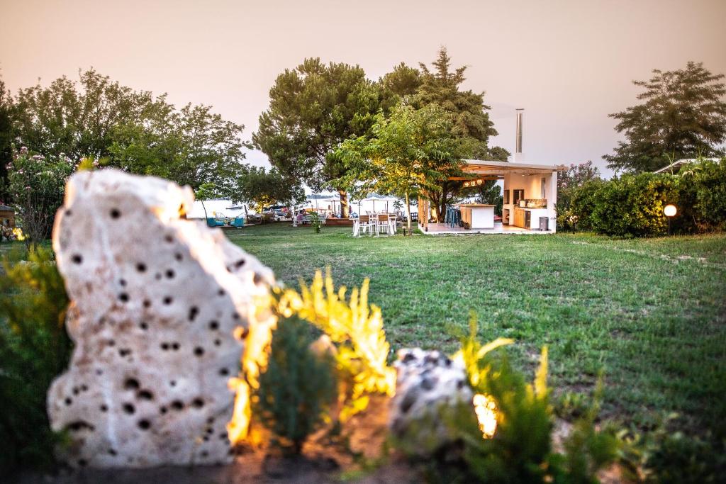 a view of a yard with a house in the background at Kokkinos in Vourvourou