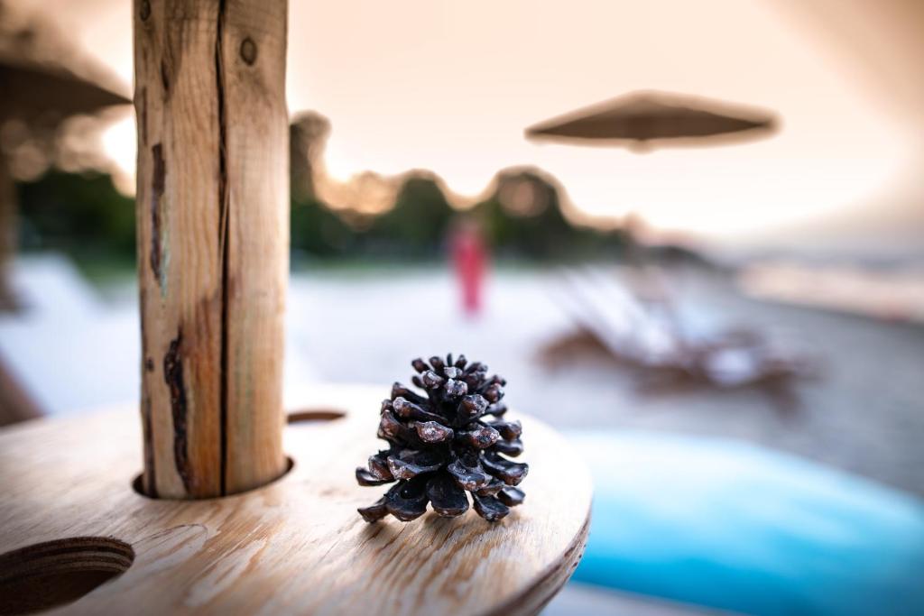 a pine cone sitting on top of a table at Kokkinos in Vourvourou