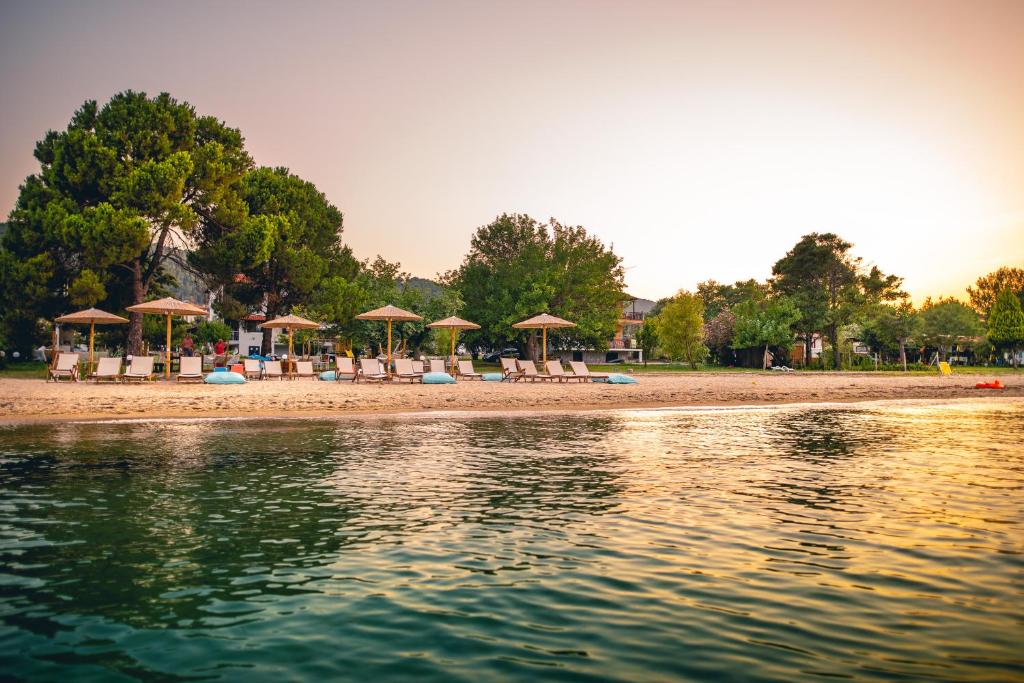 - un groupe de chaises longues et de parasols sur une plage dans l'établissement Kokkinos, à Vourvourou