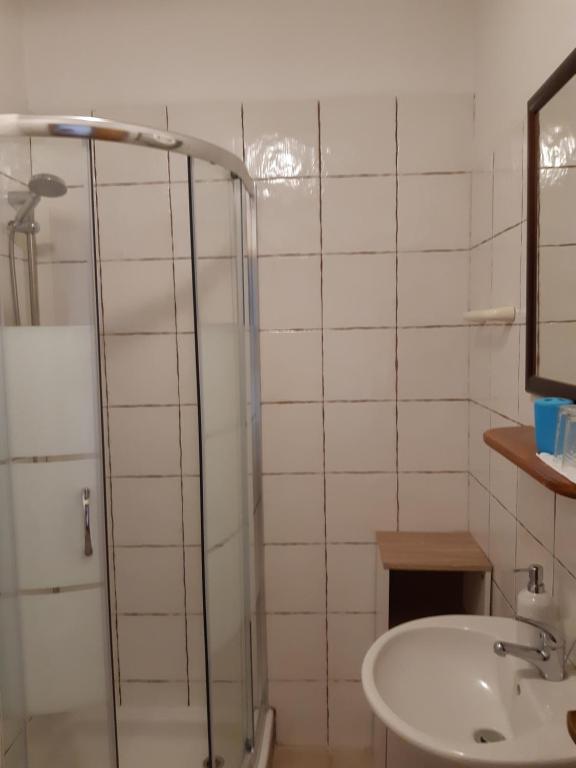 Koupelna v ubytování Apartments Kozjan