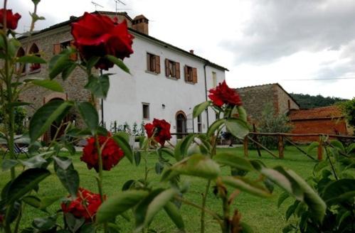 阿雷佐的住宿－比利亞爾瓦農莊酒店，前面有红玫瑰的白色建筑