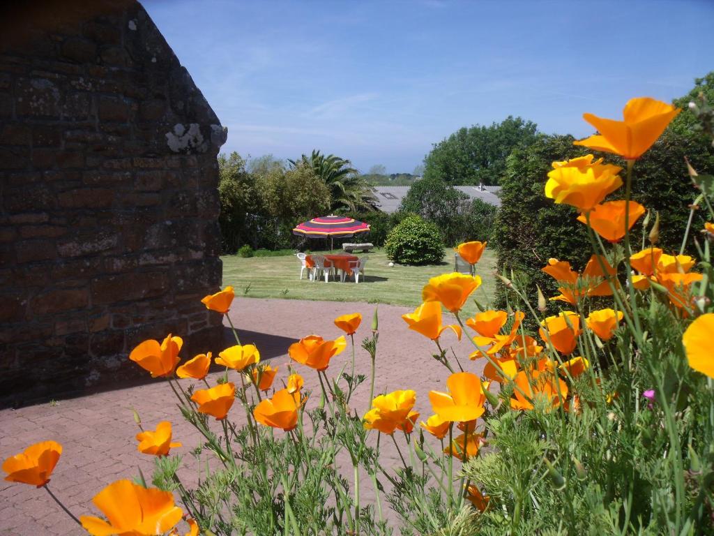 um jardim com flores de laranja e um gazebo em Gite de Kerianégan em Pleumeur-Bodou