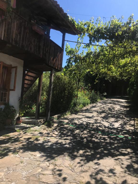 a dirt road in front of a house with trees at Вила Чевермето in Palitsi