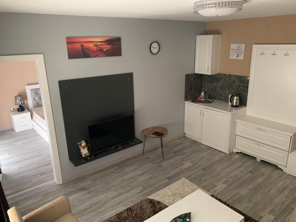TV a/nebo společenská místnost v ubytování Apartments Divoli
