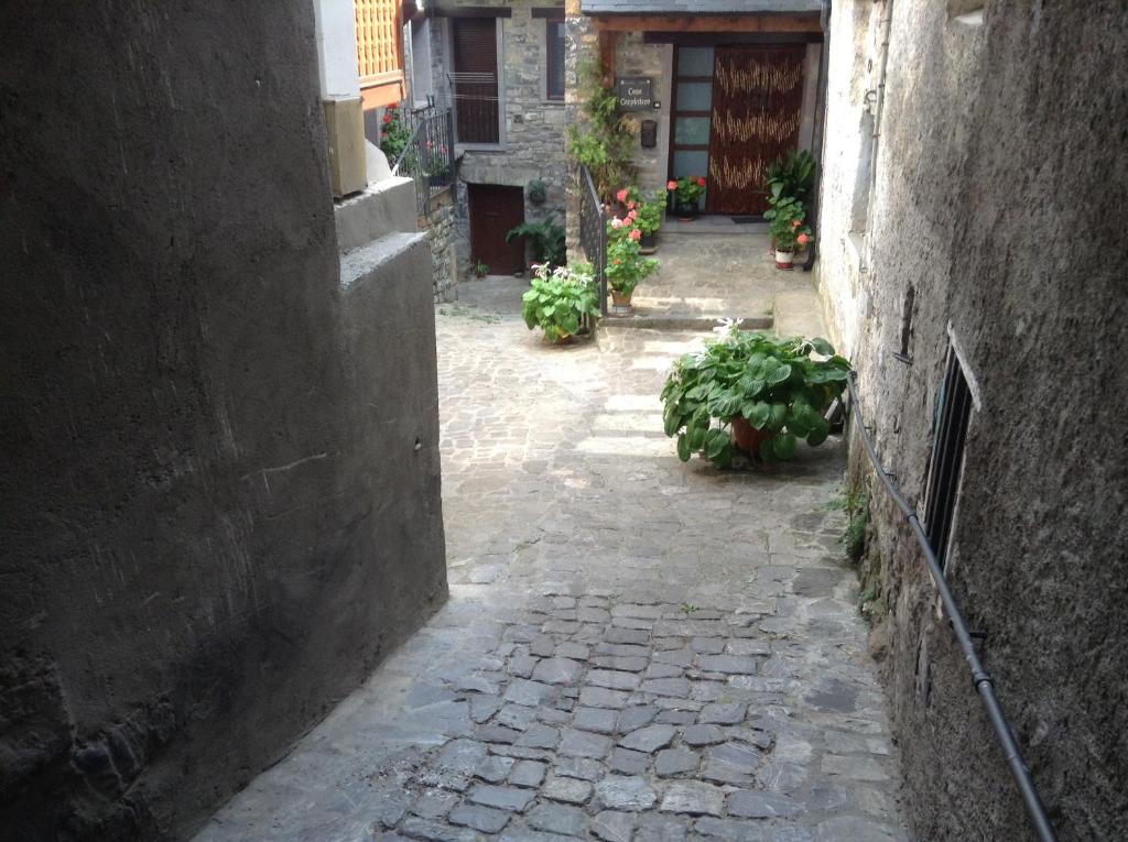Fotografie z fotogalerie ubytování Casa Carpintero v destinaci Torla