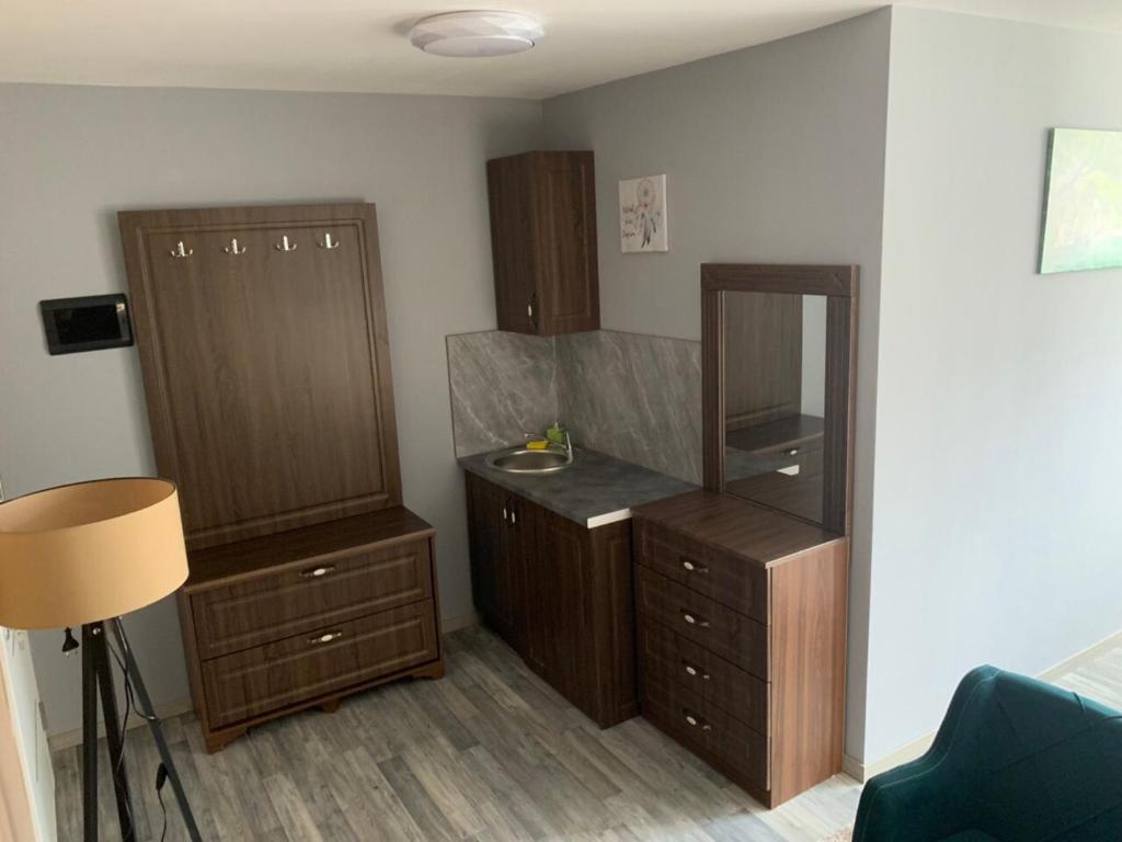 Kuchyň nebo kuchyňský kout v ubytování Apartments Divoli