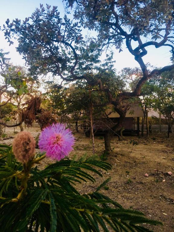  Campo Base EcoLodge