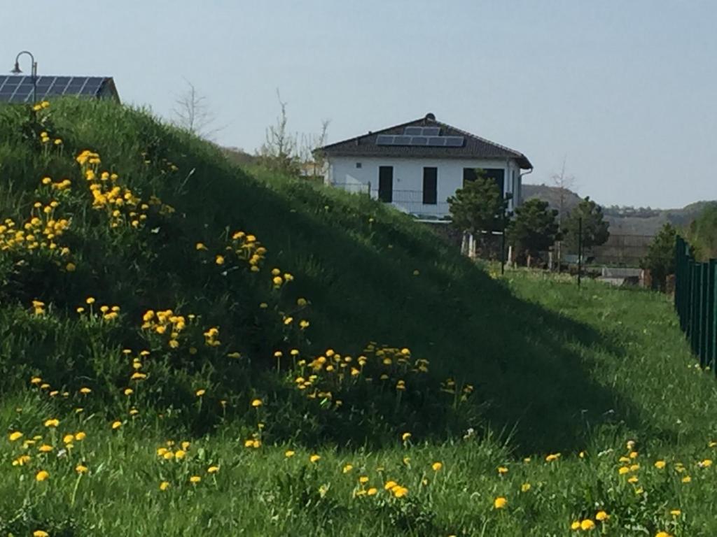 a grassy hill with yellow flowers in front of a house at Panoramablick in Adenau