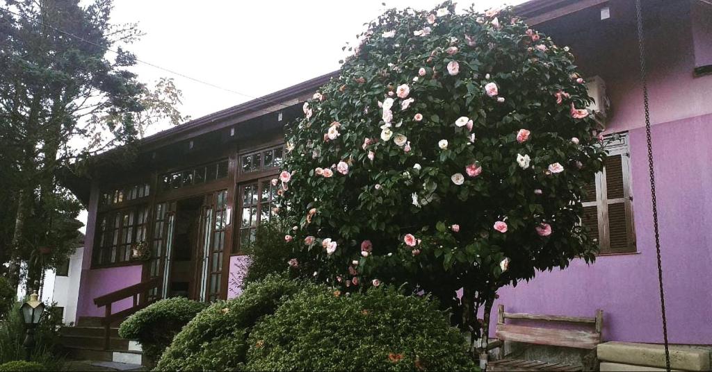 Pousada Gardenia Guest House  Pousada Gardenia Guest House