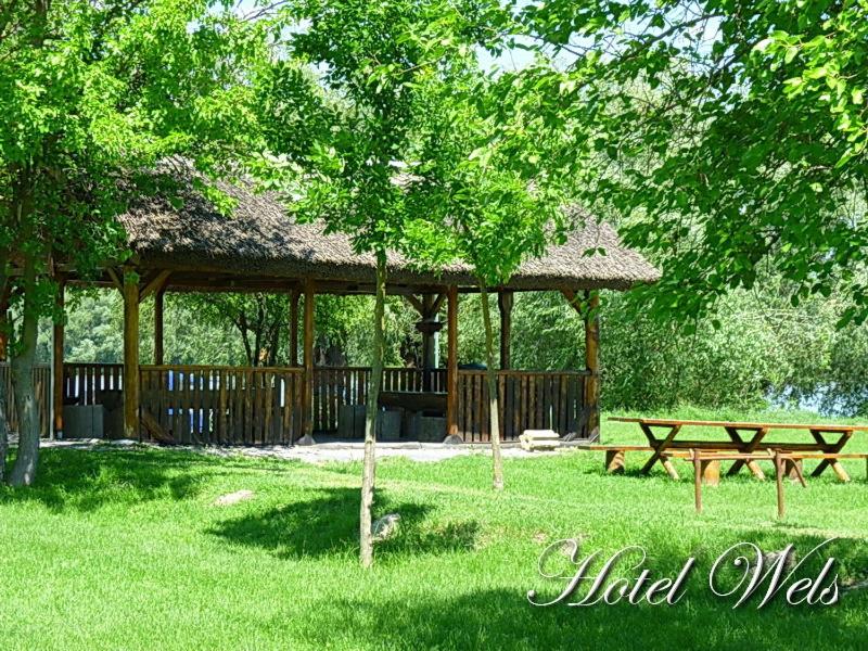 Zahrada ubytování Hotel Wels