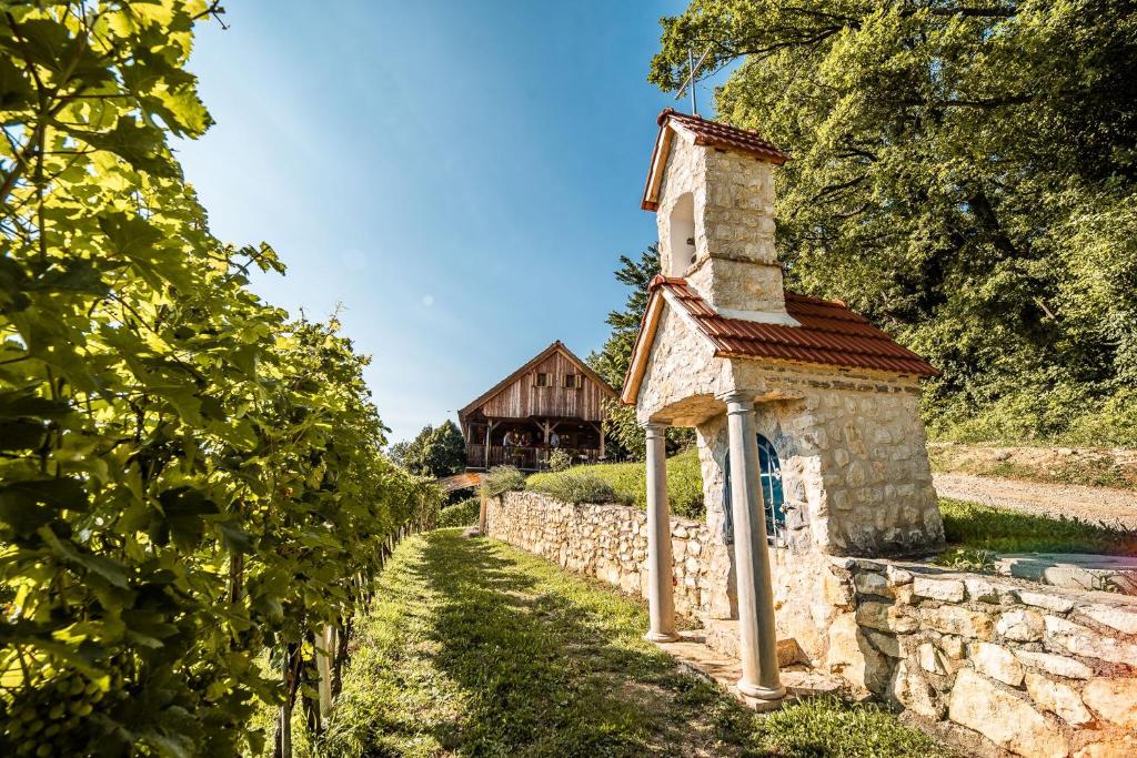 Zahrada ubytování Sleme house
