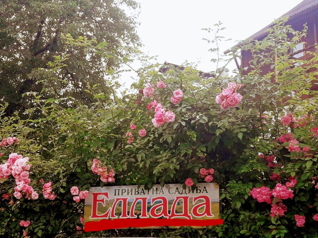 a sign in front of a bush of pink roses at Sadyba Ellada in Yaremche
