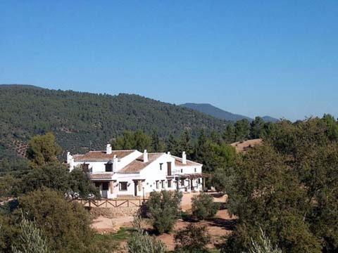 a large white house in the middle of a forest at Casas Rurales La Loma Del Carrascal in Hornos