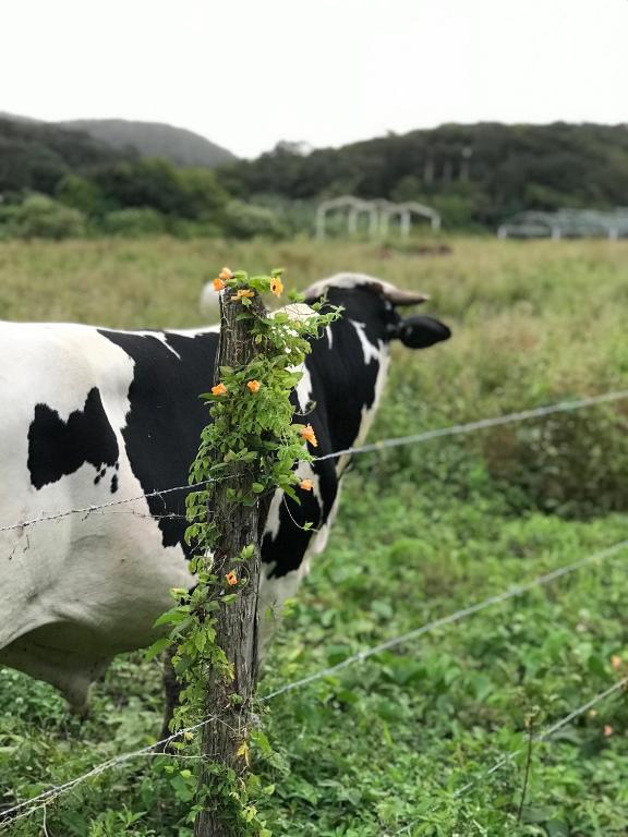 Chalé Bela Vista - Sítio Belo Monte  Chalé Bela Vista - Sítio Belo Monte