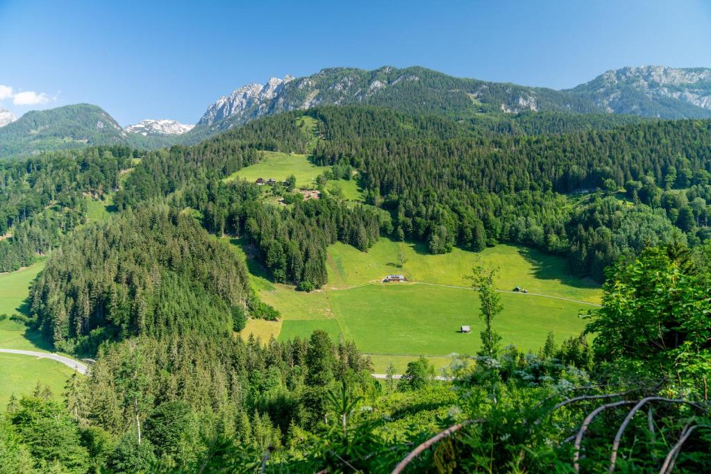 Gallery image of Almchalet Linharterhof in Haus im Ennstal