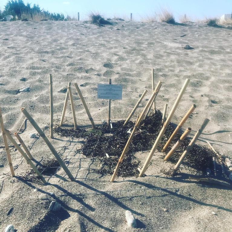a sign in the sand on a beach at Aktaion Resort in Gythio