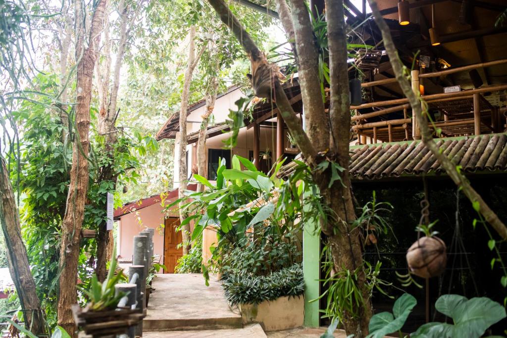 Hot Coffee Guest House and Resort - Family Room