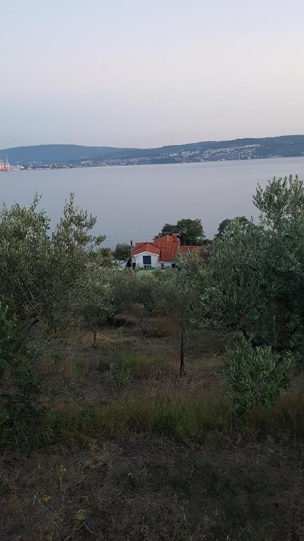 Příroda nedaleko apartmánu