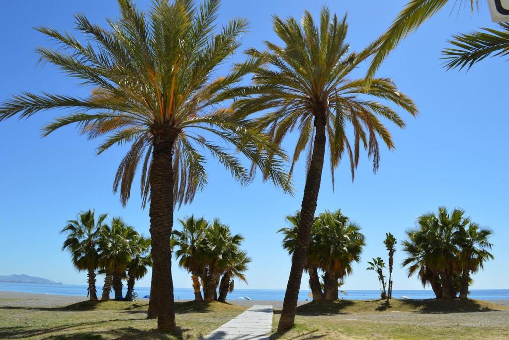 Fotografie z fotogalerie ubytování M&A Apartamento de Playa con Garaje v destinaci Almuñécar
