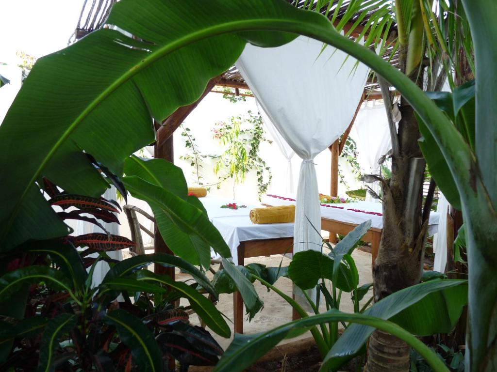 Ein Garten an der Unterkunft Maisha Nungwi - Boutique Hotel