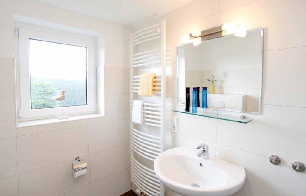 Koupelna v ubytování Pension Haus Astenblick
