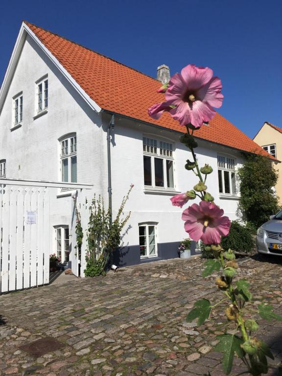 uma casa branca com uma flor à frente dela em Hyggelig lille lejlighed em Ebeltoft