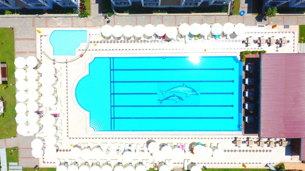 Bazén v ubytování Belcekum Beach Hotel nebo v jeho okolí