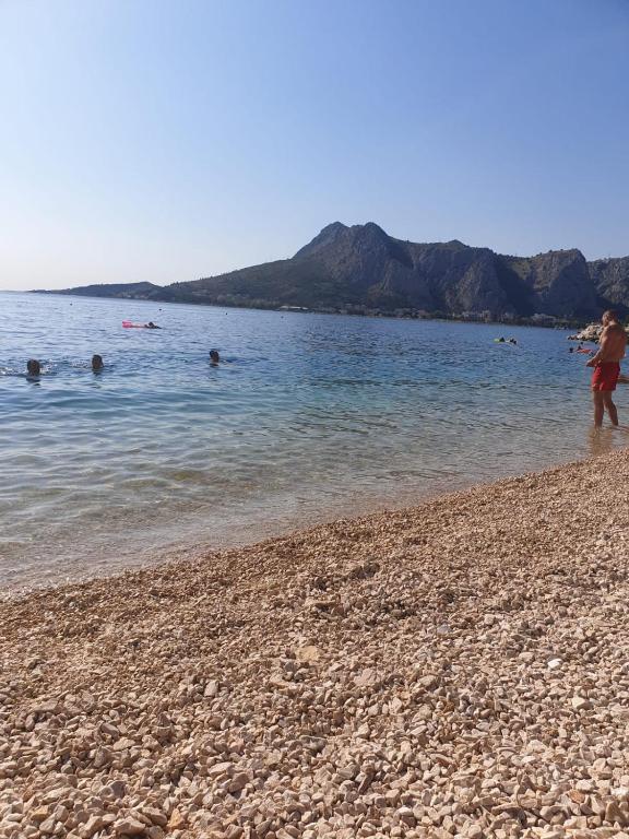Príroda v okolí apartmánu
