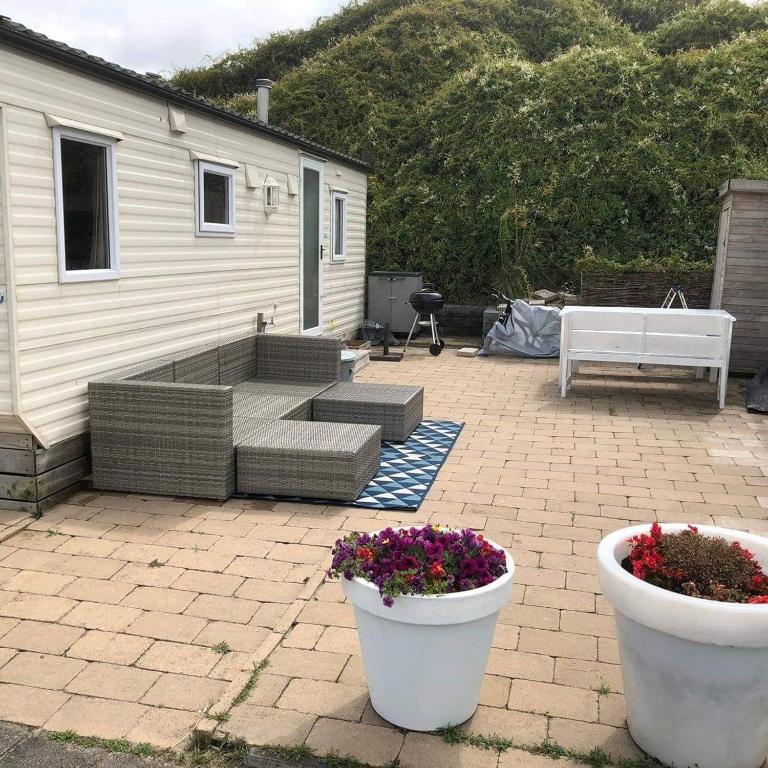 un patio con due vasi bianchi con fiori di Chalet De Duinberg a IJmuiden