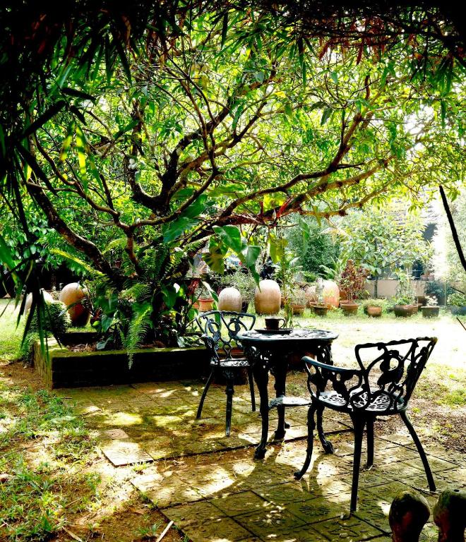 Jardin de l'établissement Clayfingers Art Cottage