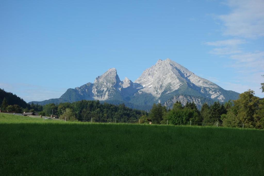 a green field with a mountain in the background at Ferienwohnung Pfnür in Berchtesgaden