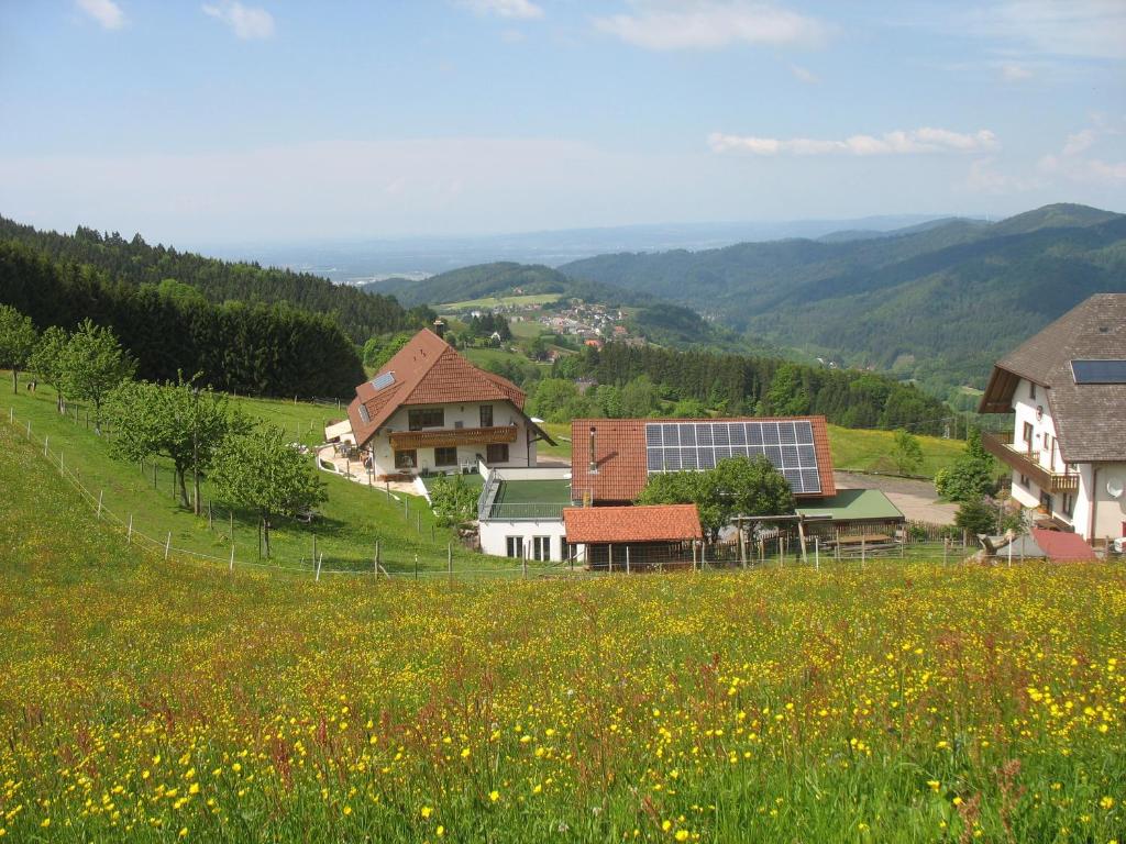 ein Dorf auf einem Hügel mit einem Blumenfeld in der Unterkunft Reeshof in Horben