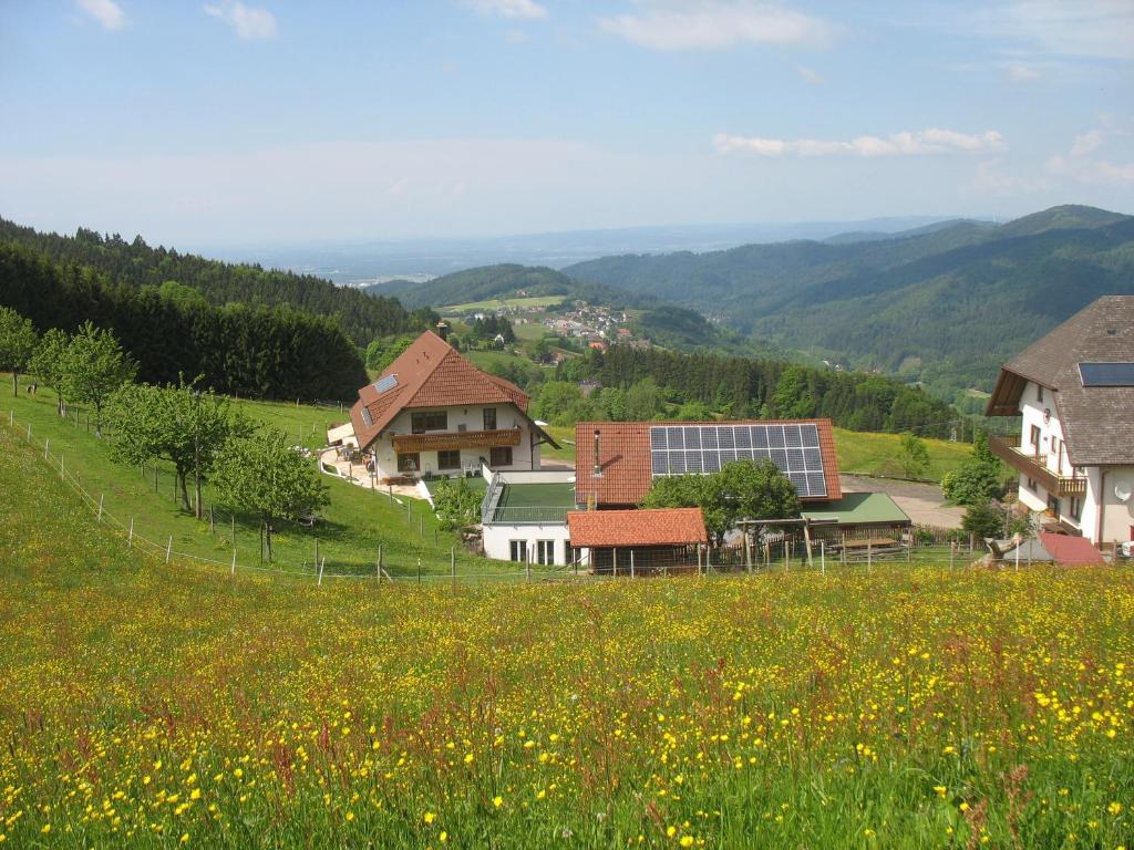 Příroda nedaleko apartmánu